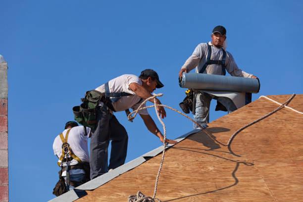 Best Roof Restoration Services  in Marlin, TX